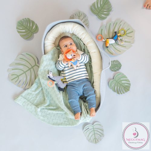 Taf Toys csörgő Harry, az oroszlán rágókával 12675