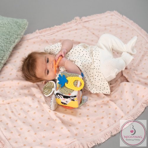 Taf Toys készségfejlesztő játékkocka - Szavanna 12755