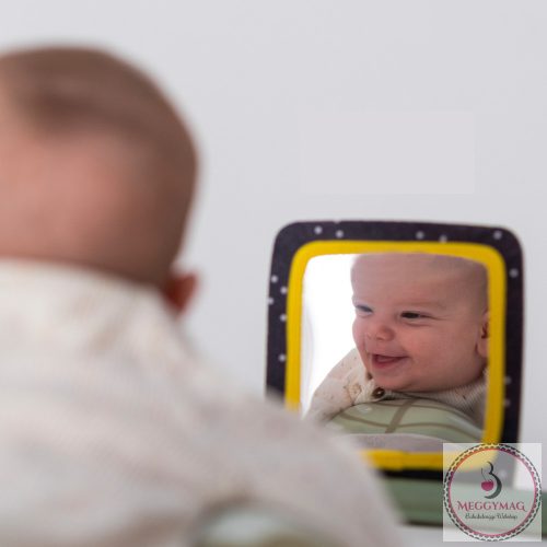 Taf Toys játszókarika Tummy-time trainer 12945