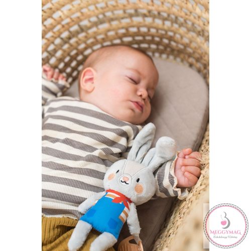 Taf Toys csörgő Rylee, a nyuszi rágókával 13005