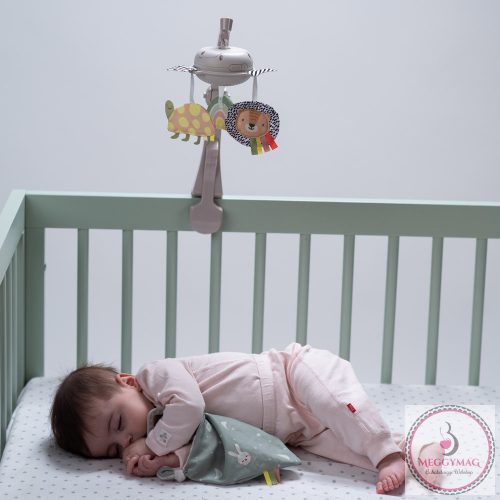 Taf Toys zenélő-forgó mini Szavanna 13285