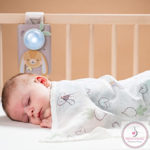 Taf Toys zenélő éjjeli fény Bunny nyuszi, hangérzélkelővel, vékony takaróval 13305