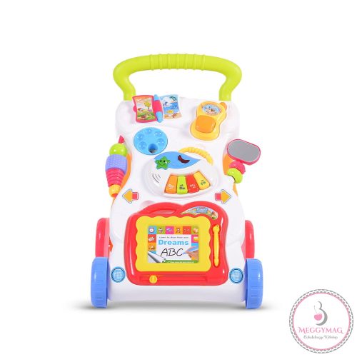 Moni Toys Dreams járássegítő műanyag 2in1 zöld