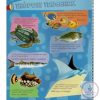 Zseblámpával - A tenger alatt 