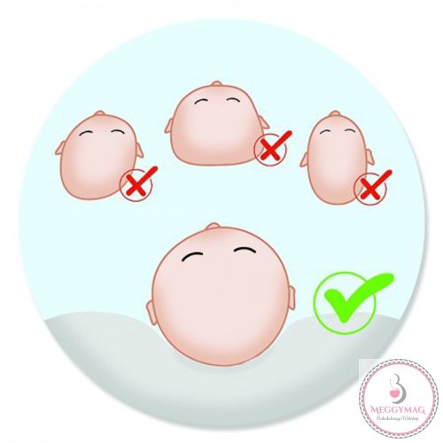 Scamp laposfejűség elleni párna Colorful Heart BLP009