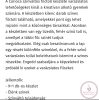 Színváltós filctoll készlet 9+1db - Carioca