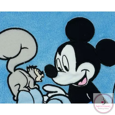 Disney Mickey wellsoft babatakaró