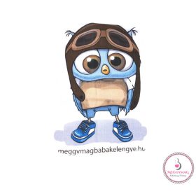 Mintás textil pelenka  - pilóta bagoly 