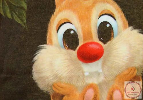 Rövid ujjú baba napozó Chip és Dale mintával, 62-es