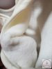 Vastag téli tipegő hálózsák 74-80 - bézs erdei állatok 