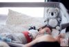 Chipolino projektoros zenélő plüss játék, éjjeli fény - Koala
