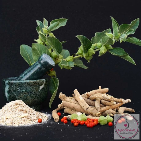 JAVALLAT® Ashwagandha komplex 