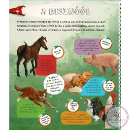 Zseblámpával - A tanyán 