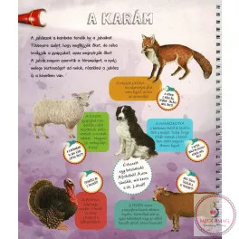 Zseblámpával - A tanyán 