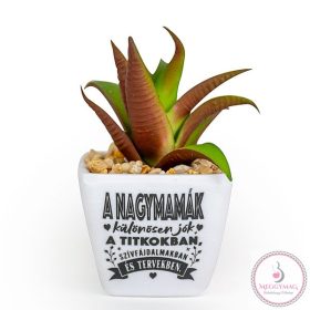 Beszédes pozsgások, Nagymama