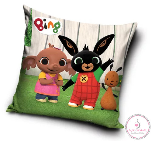 Bing párna, díszpárna 40*40 cm