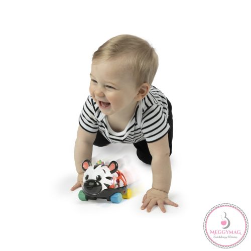 OBALL Autó és csörgő 2in1 Curious Car zebra Zen™ 3hó+