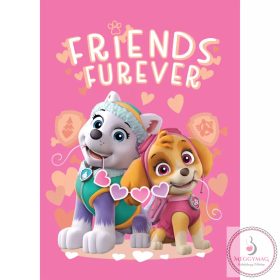 Mancs Őrjárat Friends Furever polár takaró 100x140cm