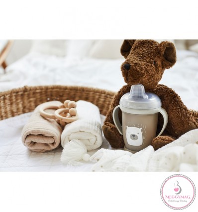 Lovi cseppmentes itatópohóar Buddy Bear SIPPY MASTER 250 ml 6 h+