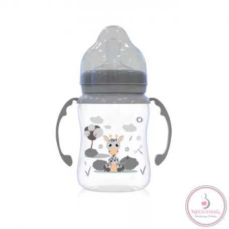 Baby Care cumisüveg foganytúval 250ml - Icy Grey
