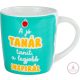 Kerámia bögre, Tanár