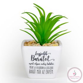 Beszédes pozsgások, Legjobb barát