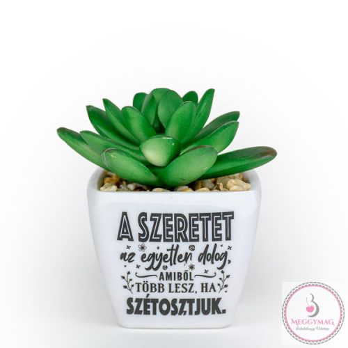 Beszédes pozsgások