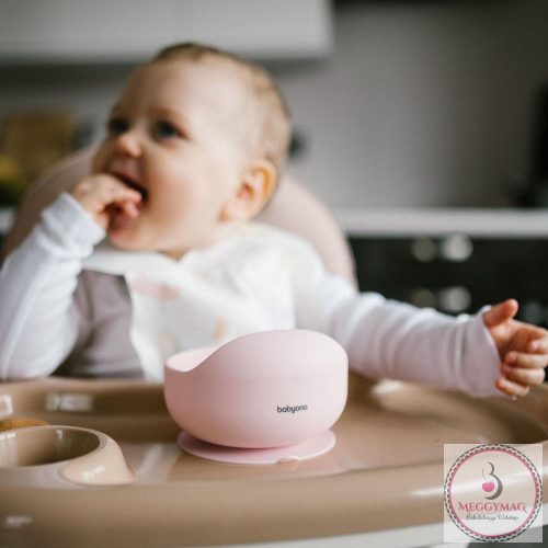 BabyOno tálka szilikon tapadó aljú rózsaszín 1481/02