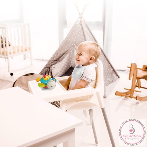 BabyOno szenzoros játék TURTLE tapadókoronggal 1584