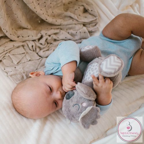 BabyOno csörgő Koala Coco koala plüss 1631