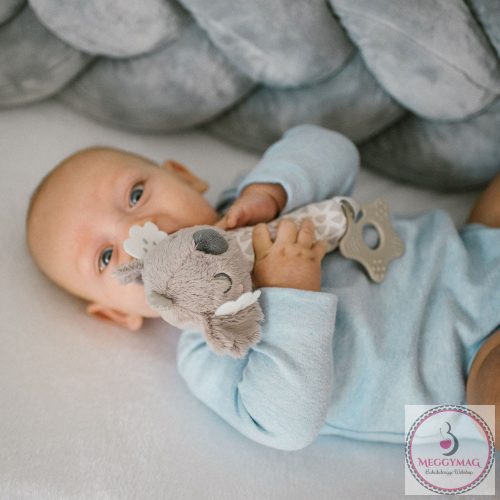 BabyOno sípoló Koala Coco plüss 1633