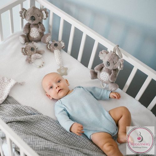 BabyOno sípoló Koala Coco plüss 1633