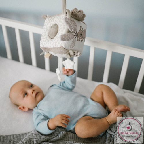 BabyOno játékkocka Koala Coco puha 1637