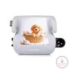 Chipolino Go Boost autós ülésmagasító 125-150 cm - puppy