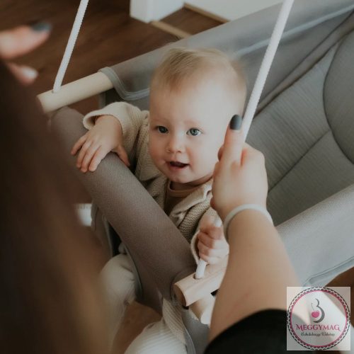 Adamo bébihinta - 5 pontos biztonsági övvel Szürke