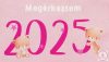 Megérkeztem 2025 feliratos rövidujjú baba body 62-es