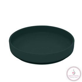   PETITE&MARS Szilikon tányér tapadókoronggal TAKE&MATCH Misty Green 6m+