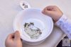 Ernest és Celestine tapadókorongos tányér kanállal diszdobozban UTOLSÓ DARABOK! 