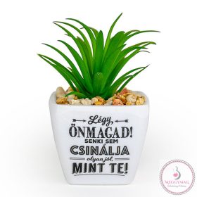 Beszédes pozsgások, Légy önmagad! 