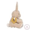 Little Dutch activity plüss nyuszi - Newborn Naturals