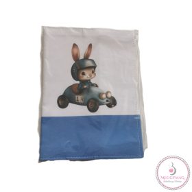 Eü kiskönyv borító, nyuszi fiú 