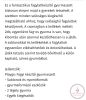 Playgo: Fagyi készítő gyurmaszett