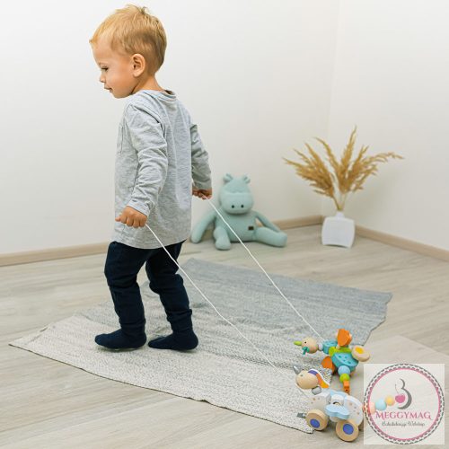 Zopa fa játék húzható Sárkány