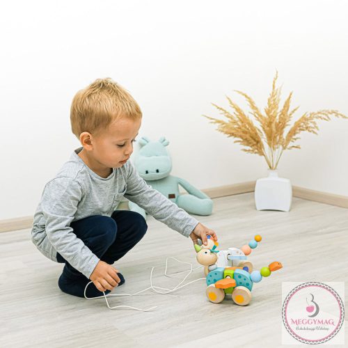 Zopa fa játék húzható Sárkány