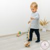 Zopa fa játék tologatós dínó piros