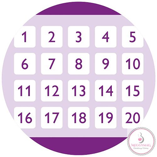 Philips AVENT sterilizáló zacskó mikrós 5db 1038