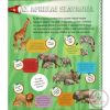 Zseblámpával - Az állatkölykök nyomában