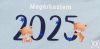 Megérkeztem 2025 feliratos rövidujjú baba body 62-es