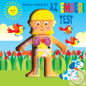 Milyen belülről - Az emberi test 