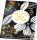 Black & Gold notesz, Follow your dreams